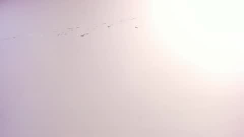 Xime  online show from October 22, 2025, 3:07 am