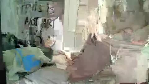 Wendy online show from December 28, 2024, 12:24 pm