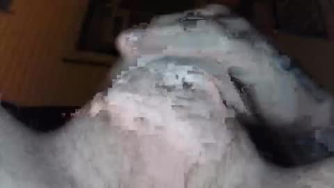 xoxossdfm8894982459 online show from December 20, 2025, 3:46 am