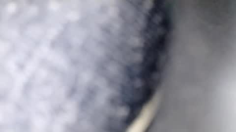 Snapshot of xploid1982 chatting on December 17, 2025, 1:33 am xploid1982 online show from December 17, 2025, 1:33 am