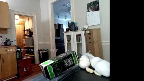 Johnny online show from February 10, 2025, 6:24 pm