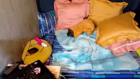 xxloveheart online show from September 30, 2025, 6:29 am