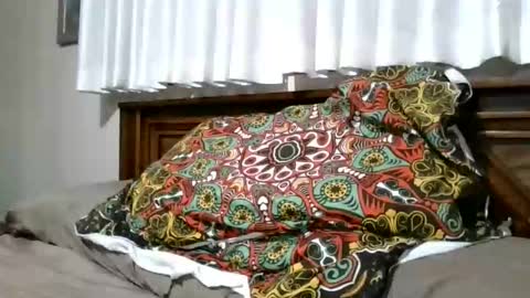 Snapshot of xxxloverloganxxx chatting on February 5, 2026, 12:32 pm xxxloverloganxxx online show from February 5, 2026, 12:32 pm