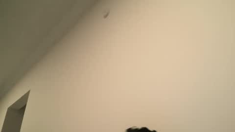 Snapshot of yacout87 chatting on February 15, 2025, 6:55 pm Dick Ass online show from February 15, 2025, 6:55 pm