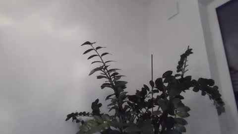 Snapshot of yakijoe chatting on October 22, 2025, 10:09 pm yakijoe online show from October 22, 2025, 10:09 pm