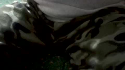 Snapshot of yankee85 chatting on February 1, 2026, 5:28 am Yankee online show from February 1, 2026, 5:28 am