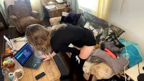 yanyanpixie online show from December 17, 2025, 2:45 pm