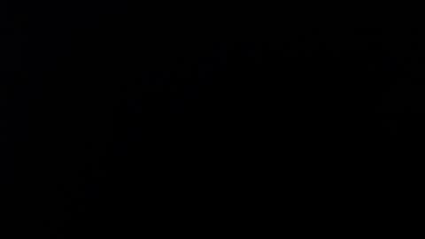 Snapshot of yazanglaor chatting on February 8, 2026, 12:41 pm SALMAHOTCAM online show from February 8, 2026, 12:41 pm