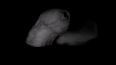 yeasayer online show from October 8, 2025, 1:25 am