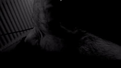 yeasayer online show from November 2, 2025, 9:28 pm