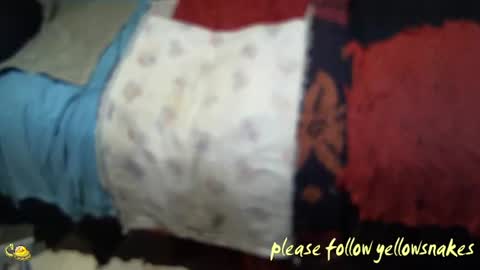 Snapshot of yellowsnakes chatting on November 7, 2025, 2:28 pm . y e l l o w s n a k e s . online show from November 7, 2025, 2:28 pm