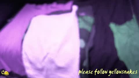 Snapshot of yellowsnakes chatting on December 17, 2025, 11:27 am . y e l l o w s n a k e s . online show from December 17, 2025, 11:27 am