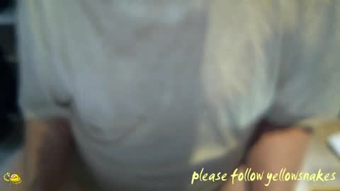 Snapshot of yellowsnakes chatting on April 1, 2026, 2:25 pm . y e l l o w s n a k e s . online show from April 1, 2026, 2:25 pm