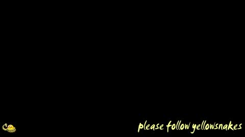 Snapshot of yellowsnakes chatting on April 15, 2026, 11:17 am . y e l l o w s n a k e s . online show from April 15, 2026, 11:17 am