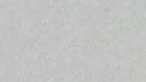 Snapshot of yellowsnakes chatting on April 16, 2026, 1:56 pm . y e l l o w s n a k e s . online show from April 16, 2026, 1:56 pm