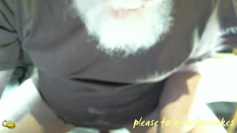 Snapshot of yellowsnakes chatting on April 19, 2026, 6:10 pm . y e l l o w s n a k e s . online show from April 19, 2026, 6:10 pm