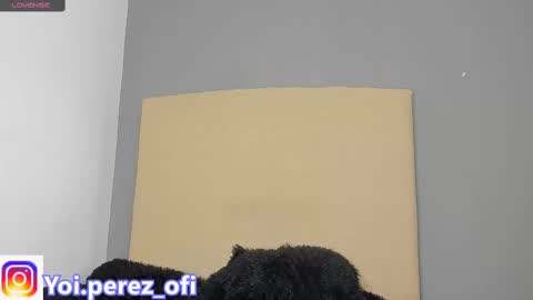 Snapshot of yoi_olimpo chatting on February 12, 2025, 12:22 pm Yoi Olimpo online show from February 12, 2025, 12:22 pm