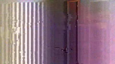 Snapshot of yorel64 chatting on February 16, 2025, 6:10 pm yorel64 online show from February 16, 2025, 6:10 pm