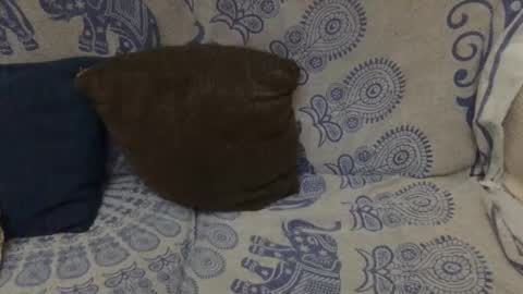 Snapshot of yosoyplex91 chatting on January 11, 2026, 11:54 pm AlexBlack online show from January 11, 2026, 11:54 pm