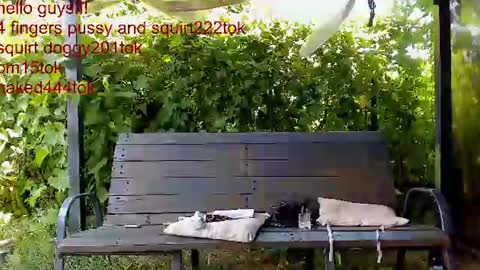Snapshot of you_love_melisa chatting on July 5, 2026, 10:22 am private on 18 per minute start private 500 tokensOnlyfans online show from July 5, 2026, 10:22 am