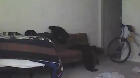 kindahorny online show from February 15, 2025, 9:37 pm