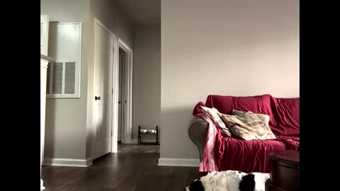 kindahorny online show from October 14, 2025, 6:09 pm