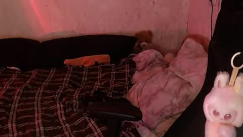 Snapshot of your_8a8y chatting on November 18, 2025, 4:33 pm your_8a8y online show from November 18, 2025, 4:33 pm