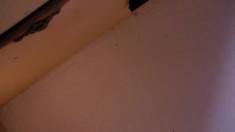 Sophiestar online show from October 18, 2025, 2:58 am