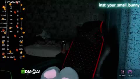 Snapshot of your_small_bunny chatting on November 16, 2025, 2:06 am Molly online show from November 16, 2025, 2:06 am