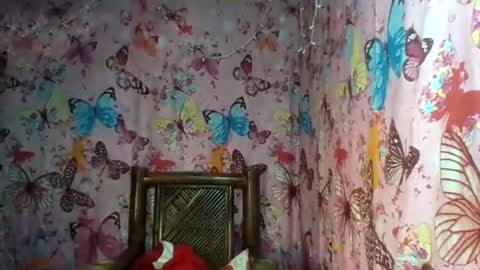 Snapshot of yourshygirl82 chatting on February 12, 2025, 10:37 pm im MAY online show from February 12, 2025, 10:37 pm