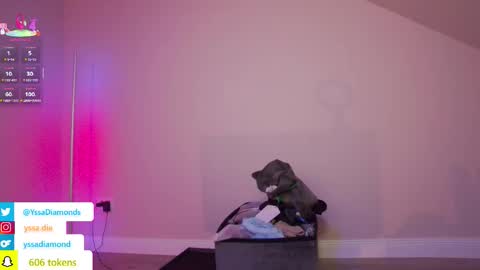 Snapshot of yssadiamonds chatting on November 16, 2025, 11:32 pm yssadiamonds online show from November 16, 2025, 11:32 pm