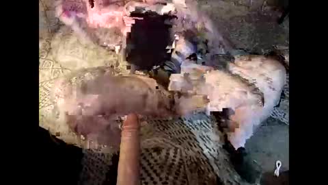 Snapshot of yummythick5150 chatting on November 19, 2025, 1:16 am yummythick5150 online show from November 19, 2025, 1:16 am