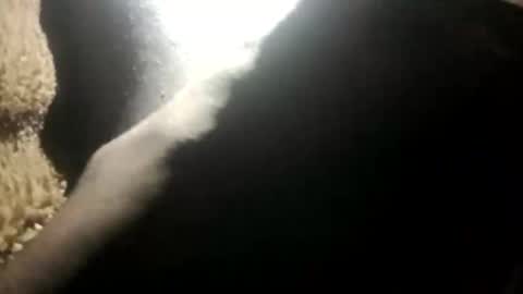 yung_boy42 online show from November 16, 2025, 2:17 am