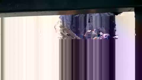 Snapshot of yungcockk444 chatting on October 8, 2025, 11:57 pm hungggg online show from October 8, 2025, 11:57 pm