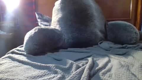 Snapshot of yungstallion10 chatting on December 19, 2025, 10:28 pm Fire 0range kush online show from December 19, 2025, 10:28 pm