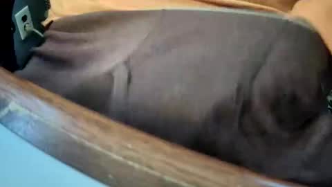 yuppers1234 online show from December 19, 2025, 4:36 pm