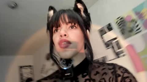 paola online show from November 26, 2025, 8:43 pm