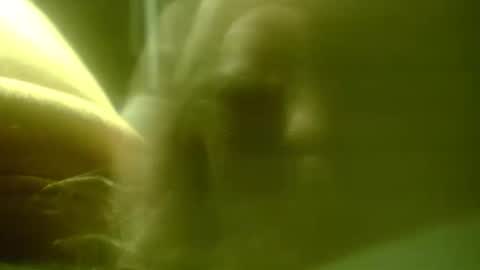 Snapshot of zaboski4 chatting on February 25, 2026, 7:40 am zaboski4 online show from February 25, 2026, 7:40 am