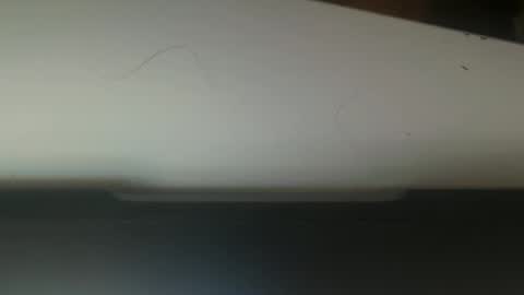 Snapshot of zachbundy chatting on November 1, 2025, 8:49 am zachbundy online show from November 1, 2025, 8:49 am