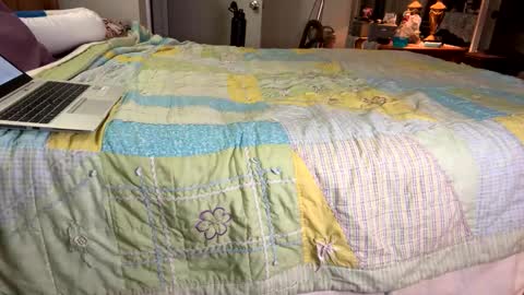 Snapshot of zaddykendoll chatting on January 6, 2025, 3:20 am Aiden online show from January 6, 2025, 3:20 am