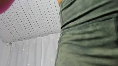 Zara . online show from January 27, 2025, 12:48 pm