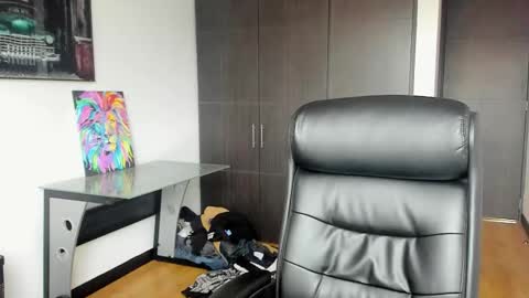 Zayn online show from November 5, 2025, 11:32 am