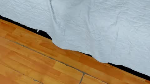 zia online show from January 27, 2025, 10:49 am