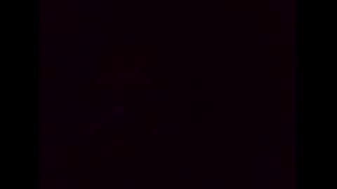 Ziggy online show from December 4, 2024, 12:03 pm