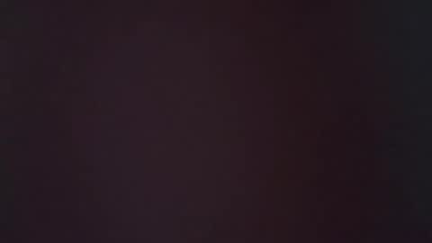 zoozdxb online show from January 16, 2026, 7:23 am