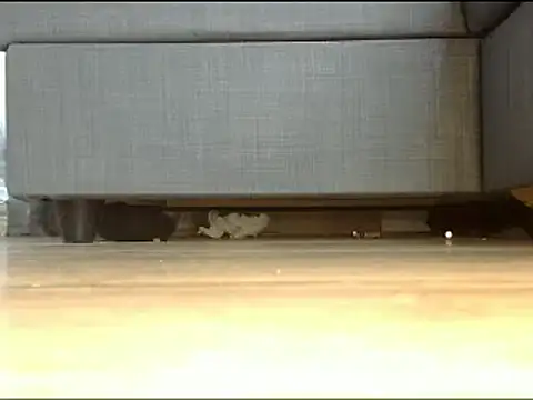 Squirtlady38 online show from February 13, 2025, 1:26 pm