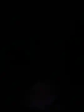 daonline69247 online show from February 4, 2025, 3:44 am