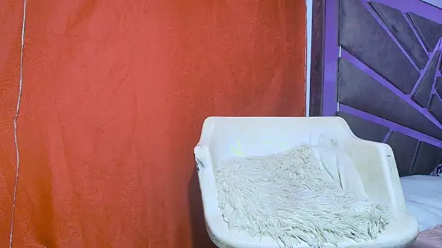 Snapshot of roxana_collins chatting on September 21, 2025, 9:22 am roxana collins online show from September 21, 2025, 9:22 am