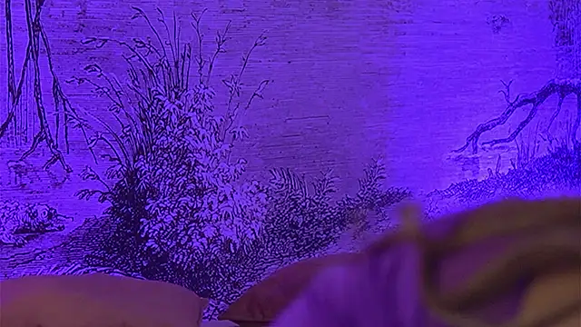 YamiraKim online show from April 9, 2026, 6:13 pm