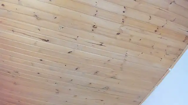 Snapshot of cristal__hot_1 chatting on February 1, 2025, 4:03 am cristal hot 1 online show from February 1, 2025, 4:03 am